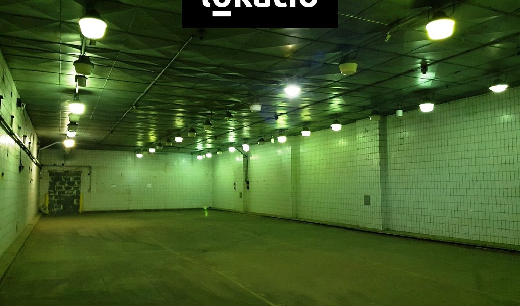 Pronájem skladovacích prostor 3 000 m², Olomouc – náhled fotky 6