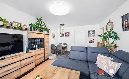 Prodej bytu 2+1 58 m², Částkova, Plzeň - Východní Předměstí
