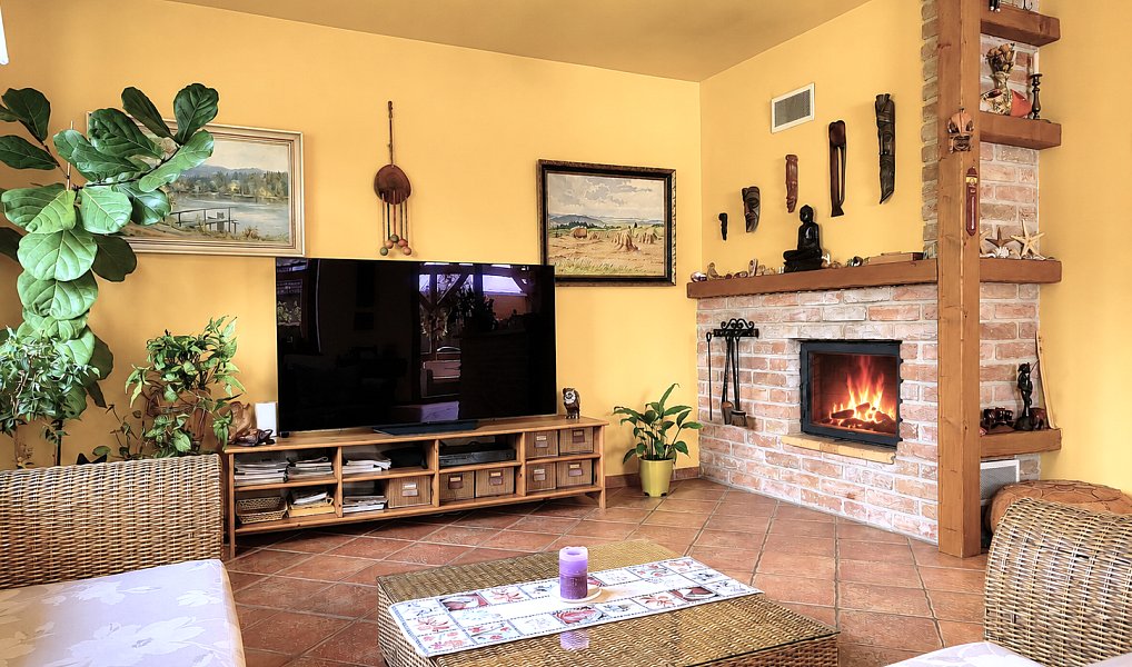Prodej domu 224 m² s pozemkem 816 m², Nový Vestec – náhled fotky 25