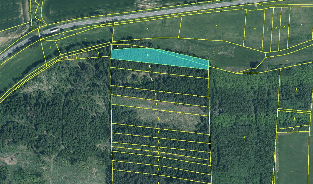 Prodej lesa 5 088 m², Křenovice – náhled fotky 9