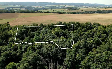 Prodej pole 9 074 m², Liteň - Běleč, okres Beroun