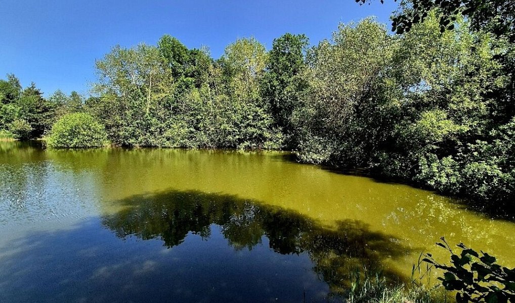 Prodej vodní plochy 8 425 m², Obruby – náhled fotky 4