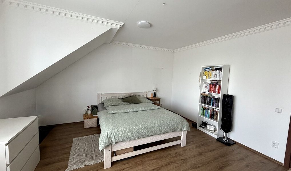 Prodej domu 219 m² s pozemkem 456 m², Mladá Boleslav – náhled fotky 21