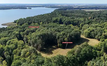 Prodej pole 12 377 m², Třeboň - Stará Hlína, okres Jindřichův Hradec