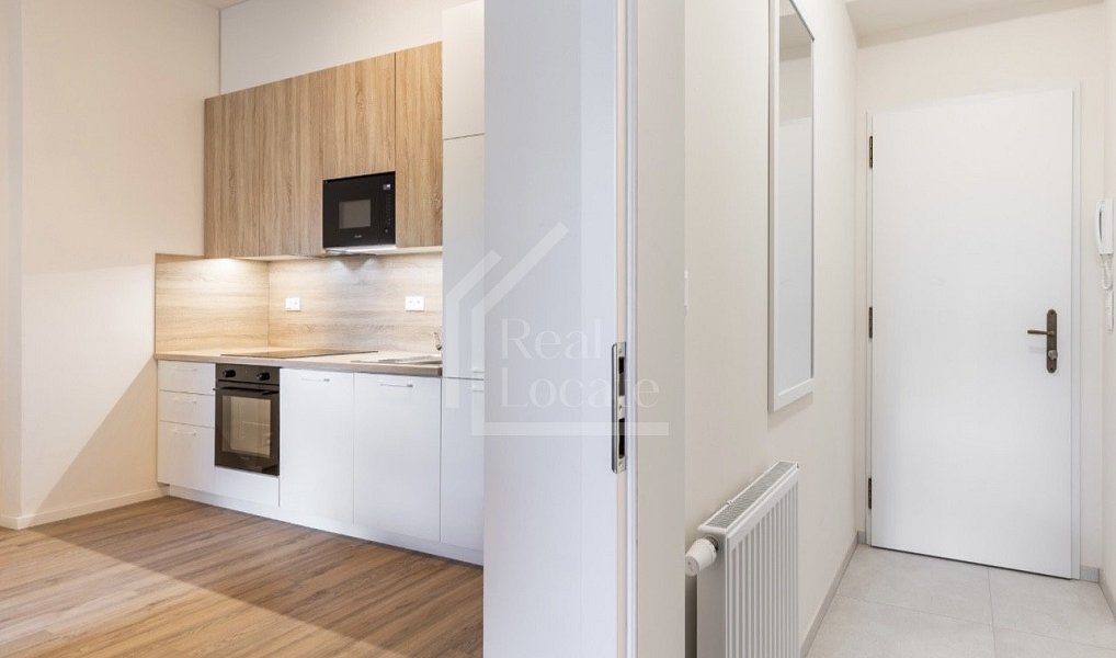 Pronájem bytu 1+kk 37 m², Praha – náhled fotky 3