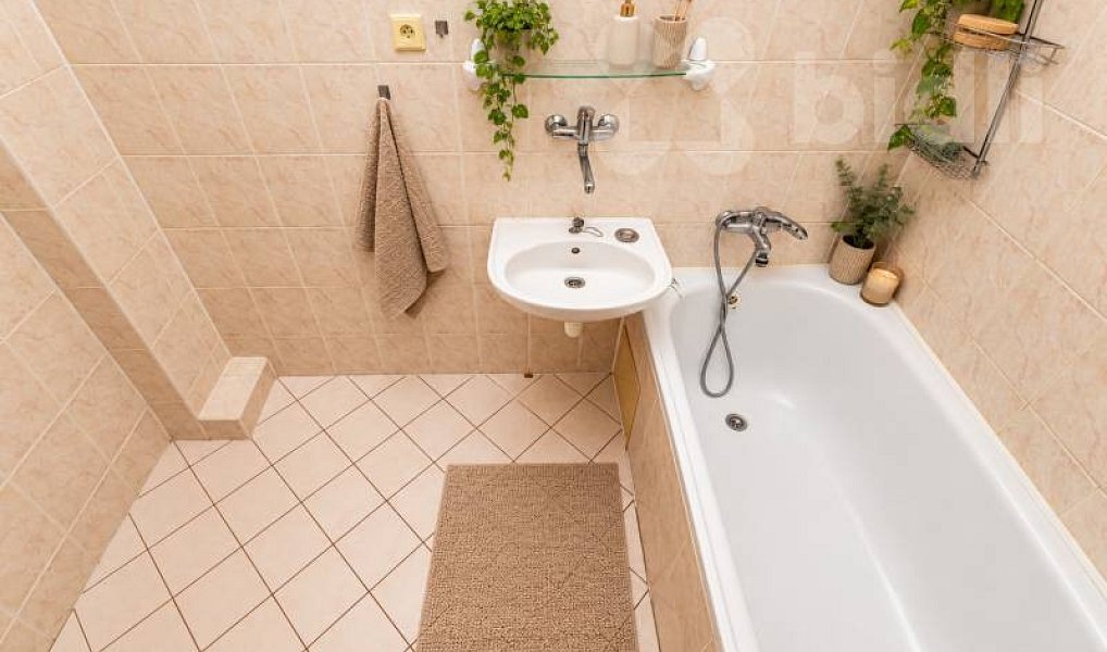 Prodej domu 298 m² s pozemkem 646 m², Sezemice – náhled fotky 11
