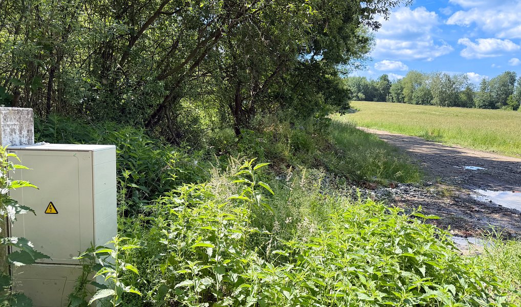 Prodej louky 532 m², Česká Lípa – náhled fotky 7