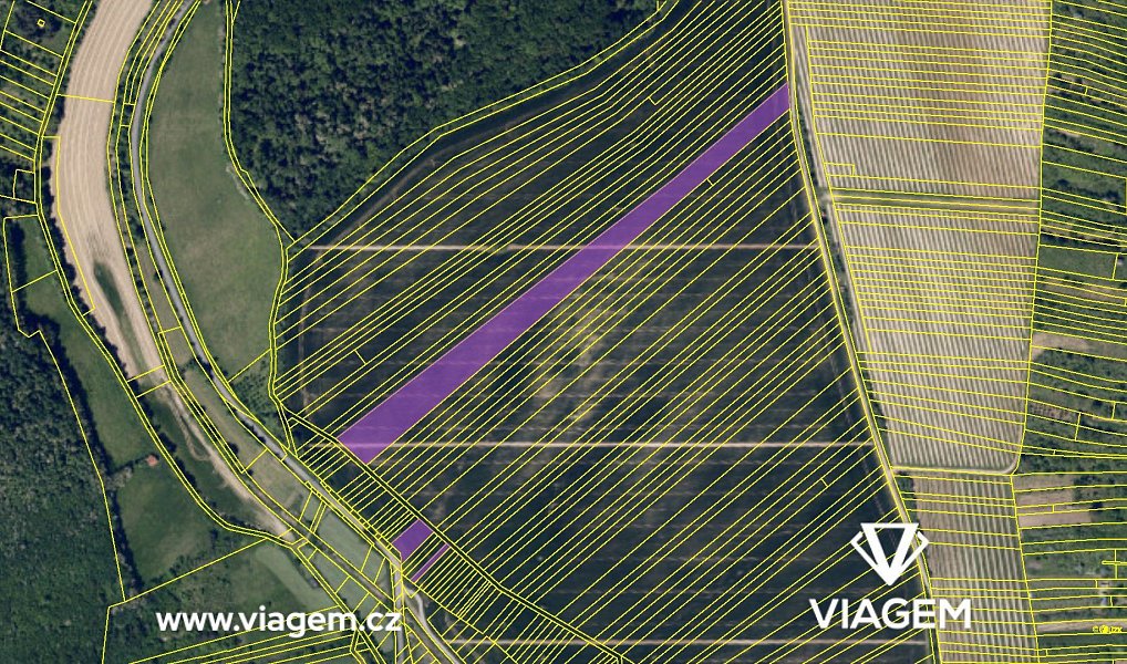 Prodej pole 14 171 m², Žarošice – náhled fotky 4
