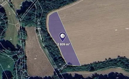 Prodej pole 2 539 m², Lomy, okres Třebíč