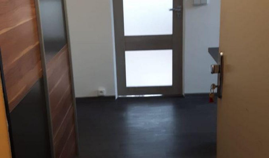 Pronájem bytu 1+1 33 m², Jablonec nad Nisou – náhled fotky 3