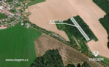 Prodej lesa 427 m², Koloveč, okres Domažlice