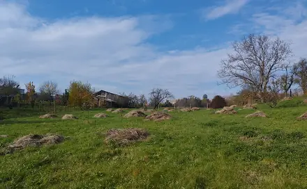 Prodej stavebního pozemku 4 411 m², Holubice, okres Vyškov