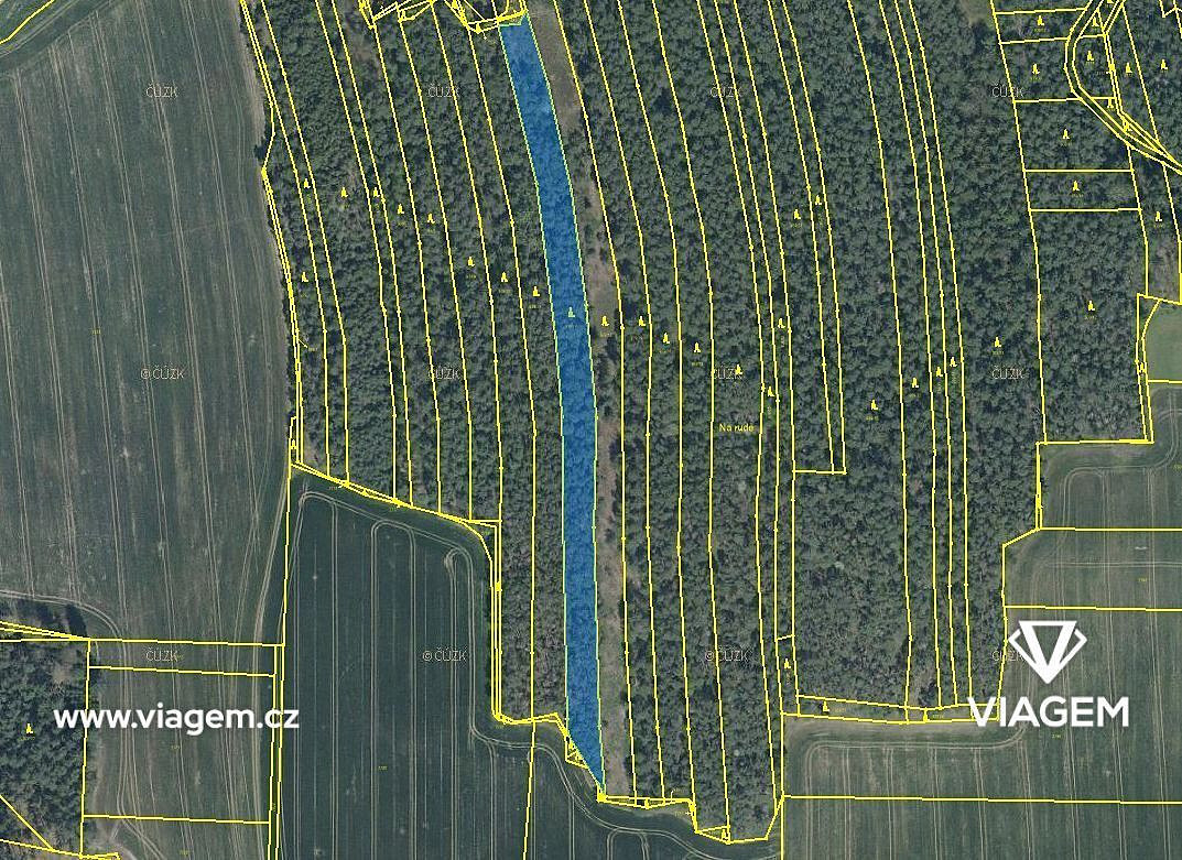 Les 6 930 m², Podíl 29 % o výměře 2 021 m² – pohled 3