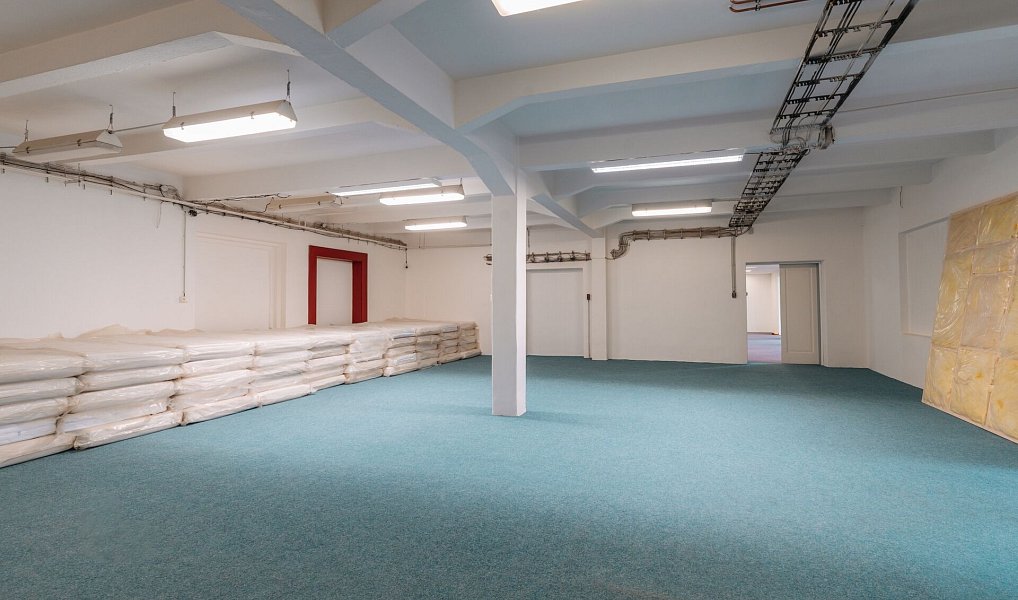 Prodej výrobních prostor 11 439 m², Ostrov – náhled fotky 9