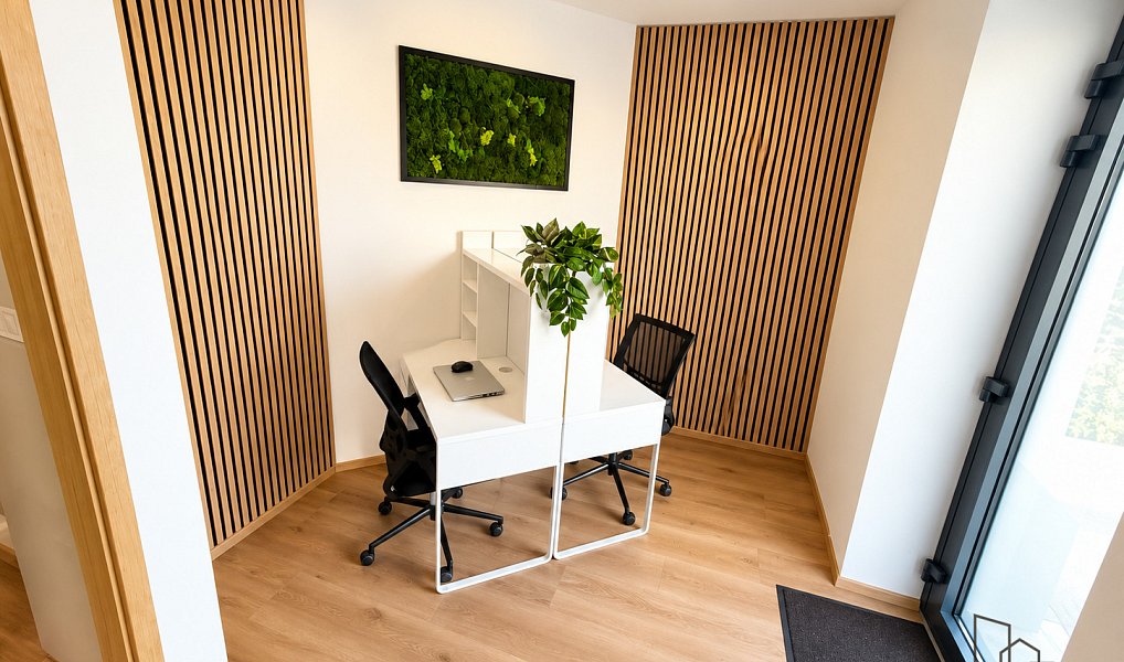Pronájem bytu 2+kk 55 m², Olomouc – náhled fotky 4