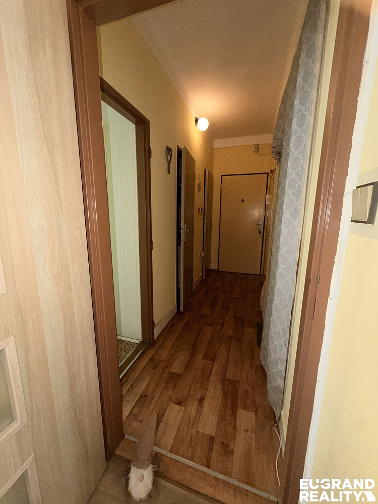Prodej bytu 2+1 55 m² — photo 5
