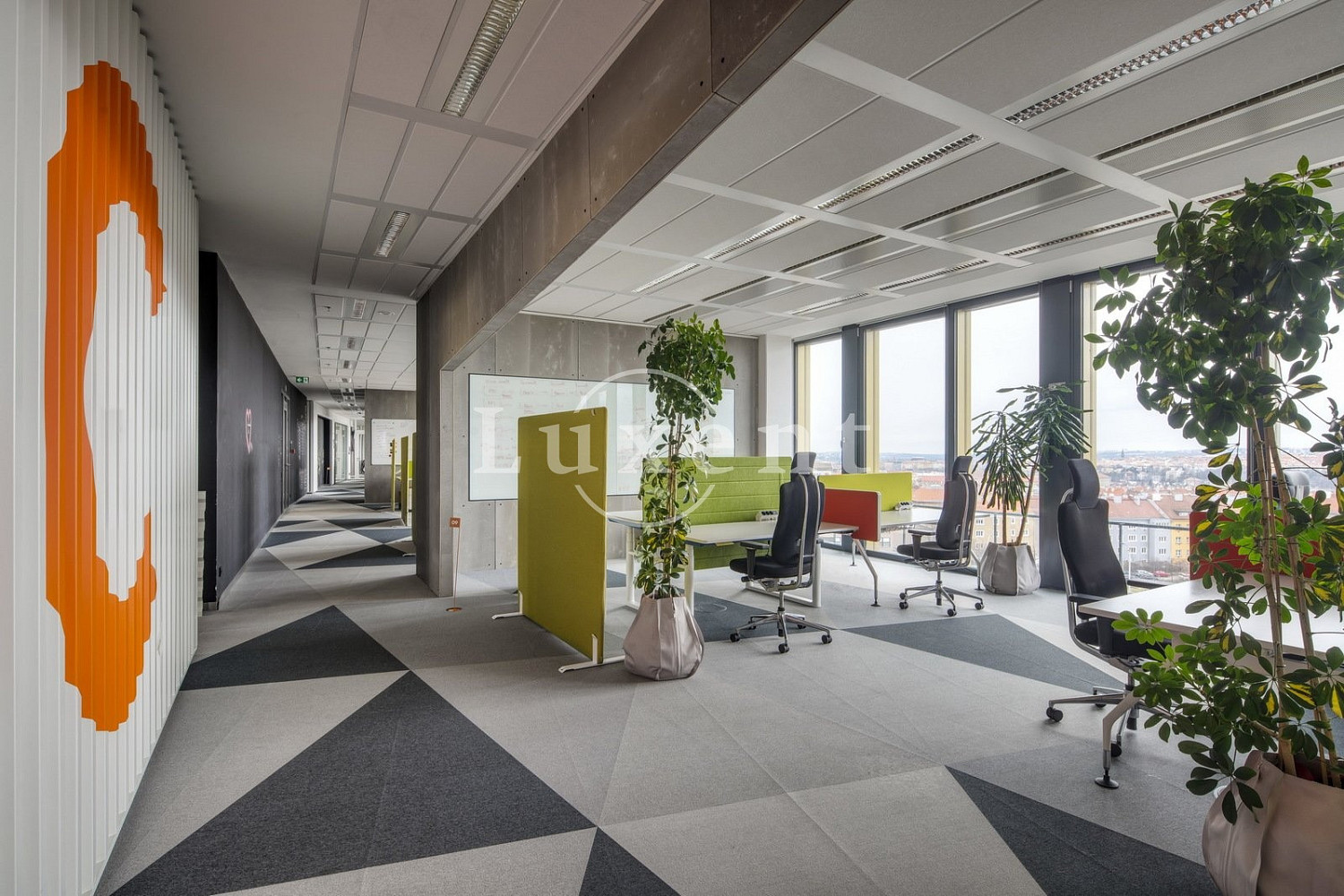 Pronájem kanceláře 500 m² – fotografie 5