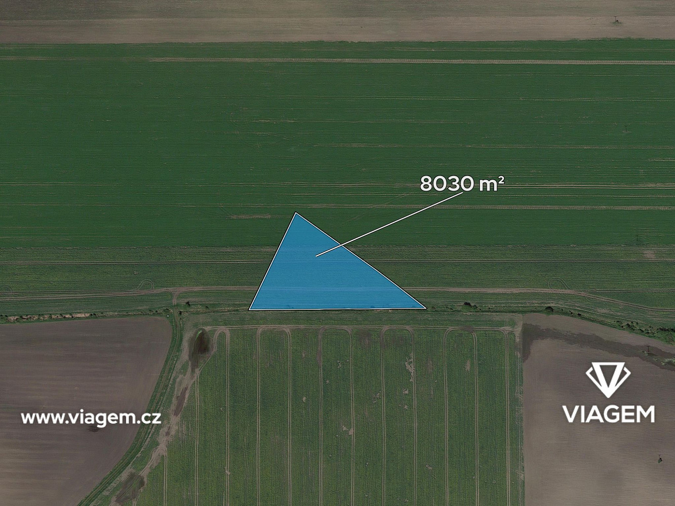 Prodej pole 1 606 m² – fotografie 2