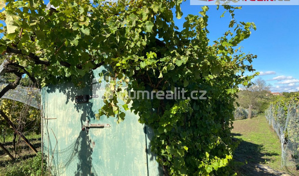 Pronájem chaty/chalupy 29 m², Tvrdonice – náhled fotky 12