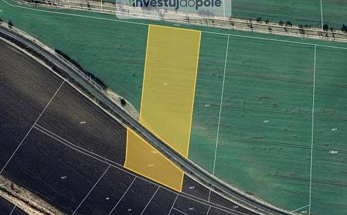 Prodej pole 9 105 m², Oskořínek, okres Nymburk