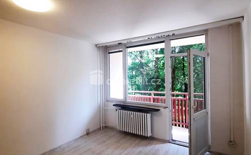 Pronájem bytu 1+kk 29 m², Ruská, Liberec - Liberec I-Staré Město