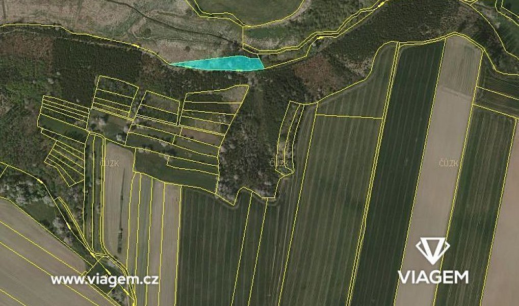 Prodej lesa 2 254 m², Budeč – náhled fotky 3