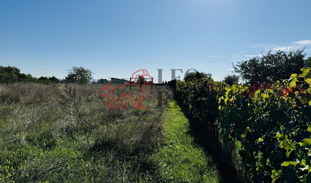 Prodej zahrady 1 237 m², Týnec – náhled fotky 5