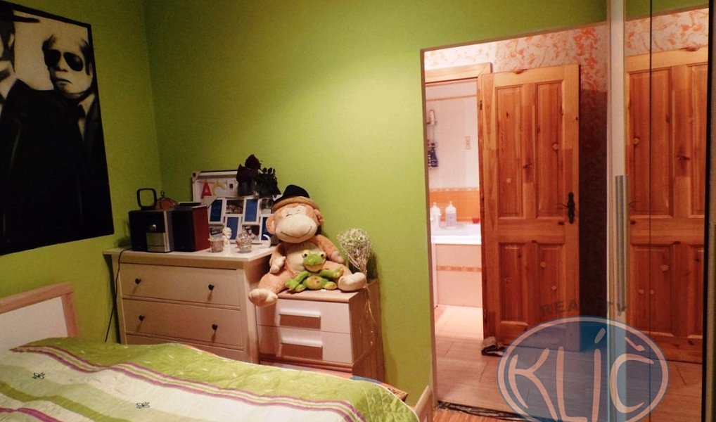 Pronájem bytu 2+kk 43 m², Tábor – náhled fotky 10