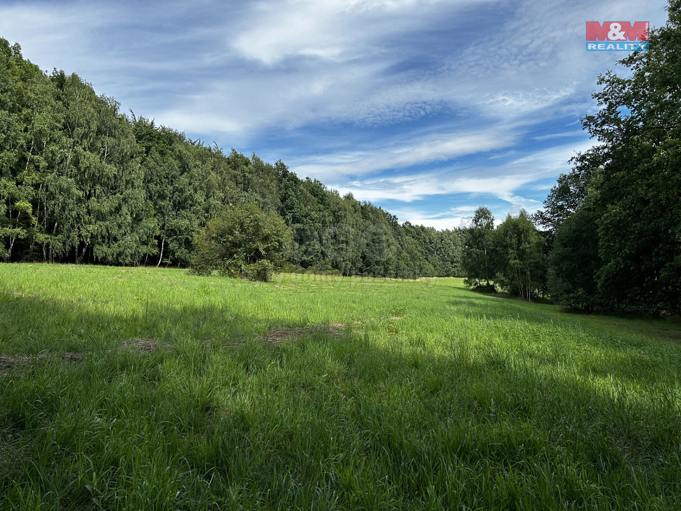 Prodej louky 7 691 m² – fotografie 3