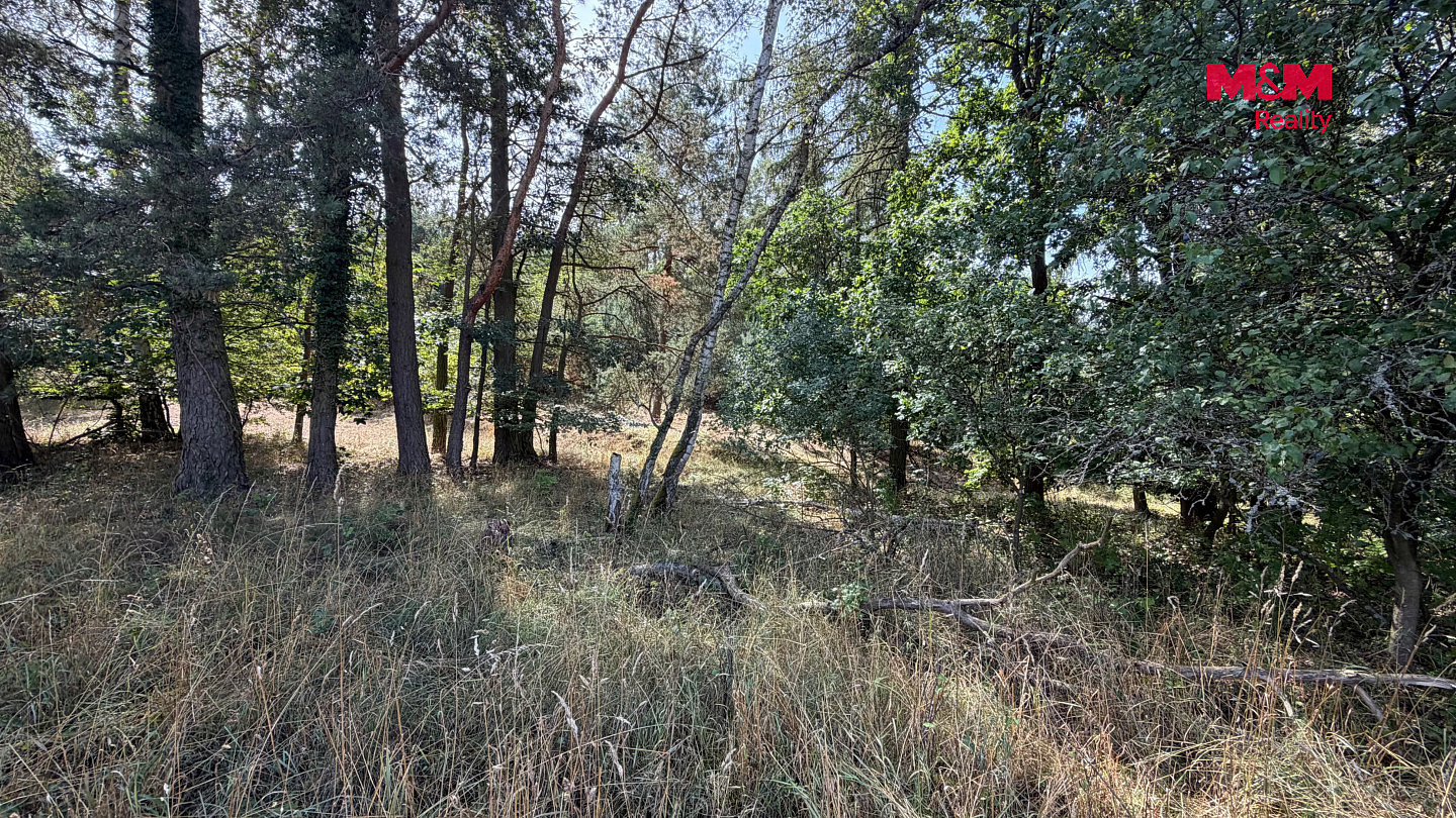 Prodej pole 8 460 m² – fotografie 4