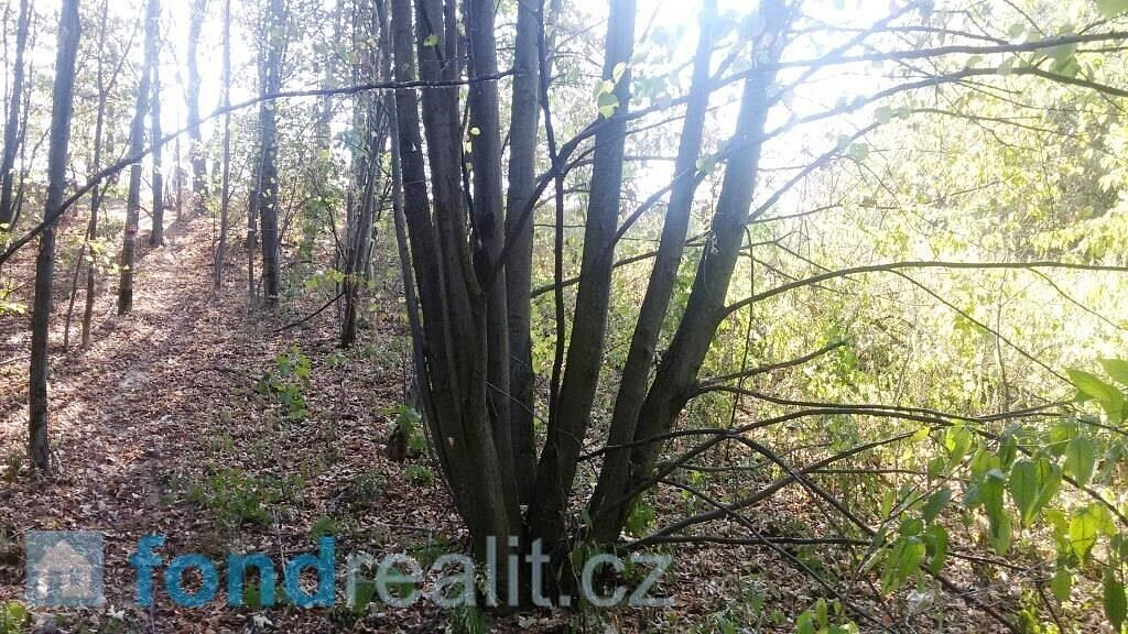 Prodej pozemku 1 510 m² – fotografie 3