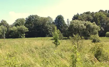 Prodej pole 28 977 m², Meziměstí, okres Náchod