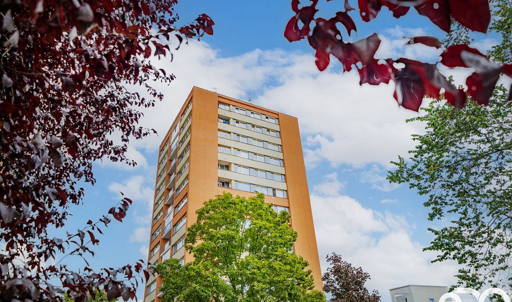 Prodej bytu 3+1 72 m², Hradec Králové – náhled fotky 16