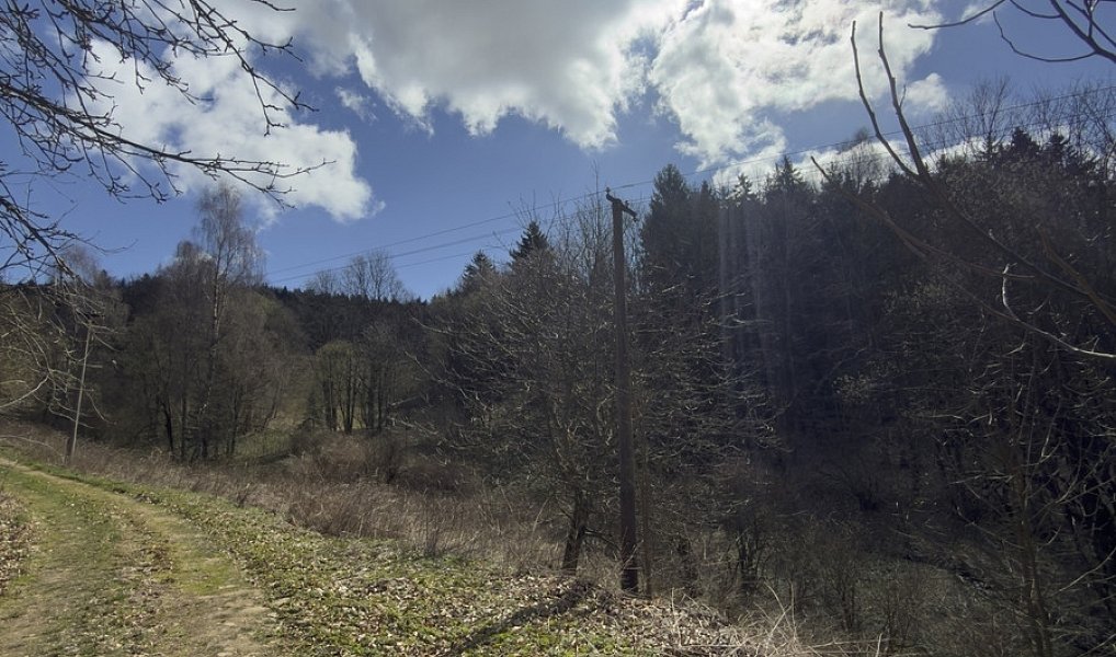 Prodej louky 9 974 m², Výprachtice – náhled fotky 2