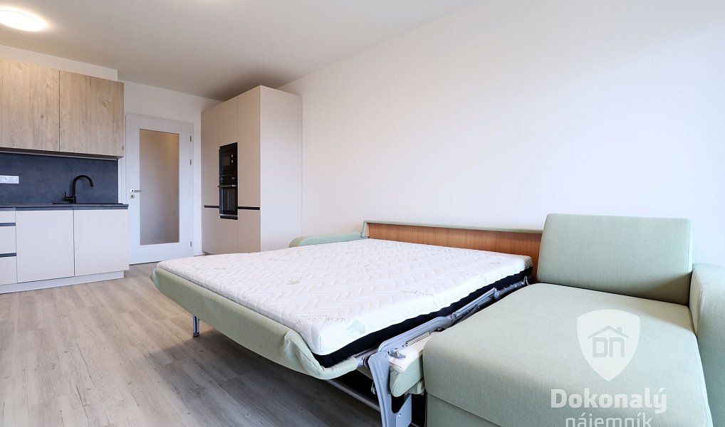 Pronájem bytu 1+kk 34 m², Praha – náhled fotky 9