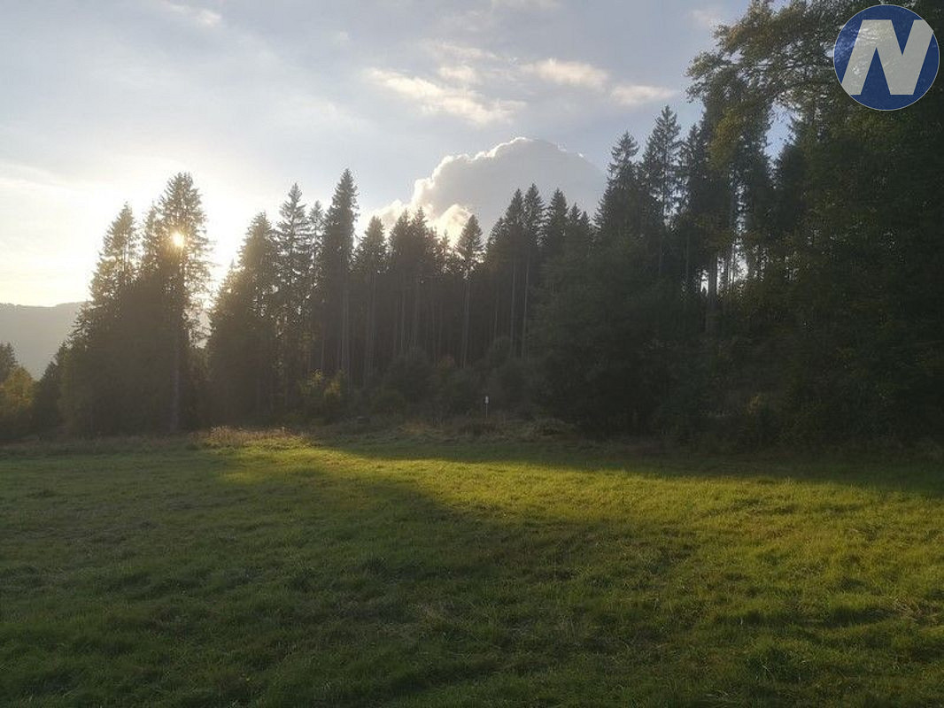 Fotka 10 z 16