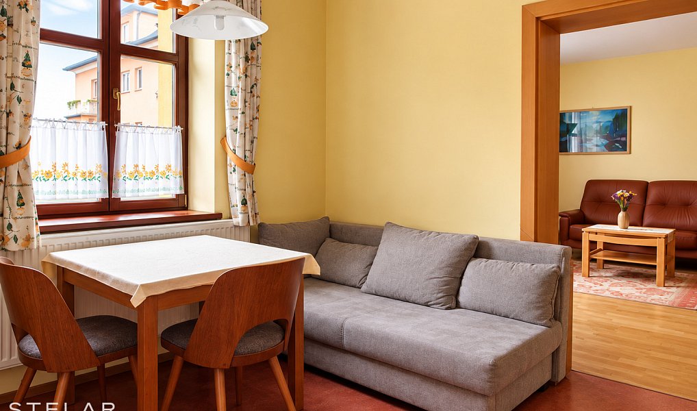 Pronájem bytu 1+1 52 m², Opava – náhled fotky 2