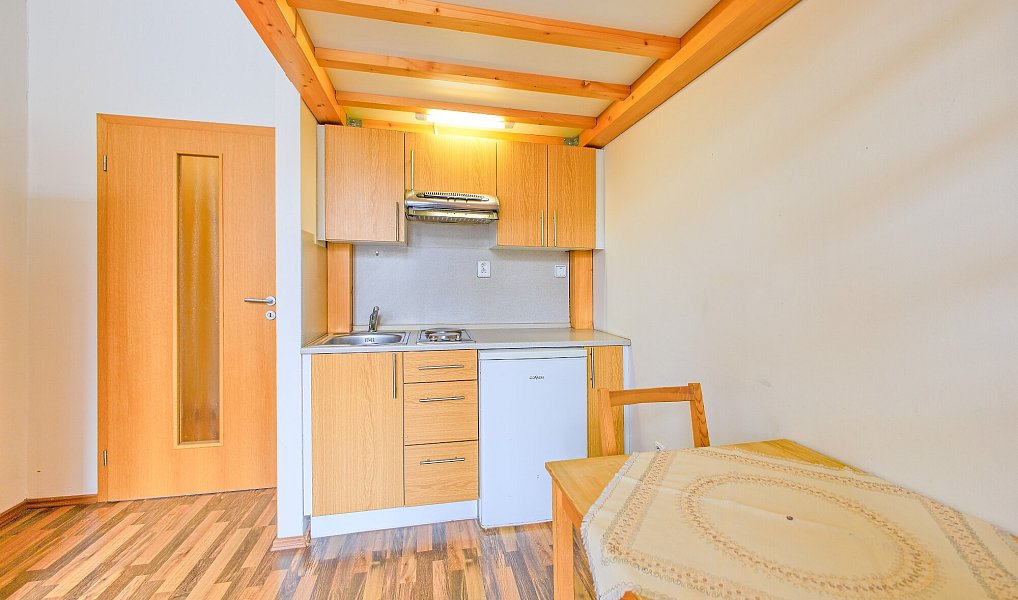 Pronájem bytu 1+kk 20 m², Brno – náhled fotky 3