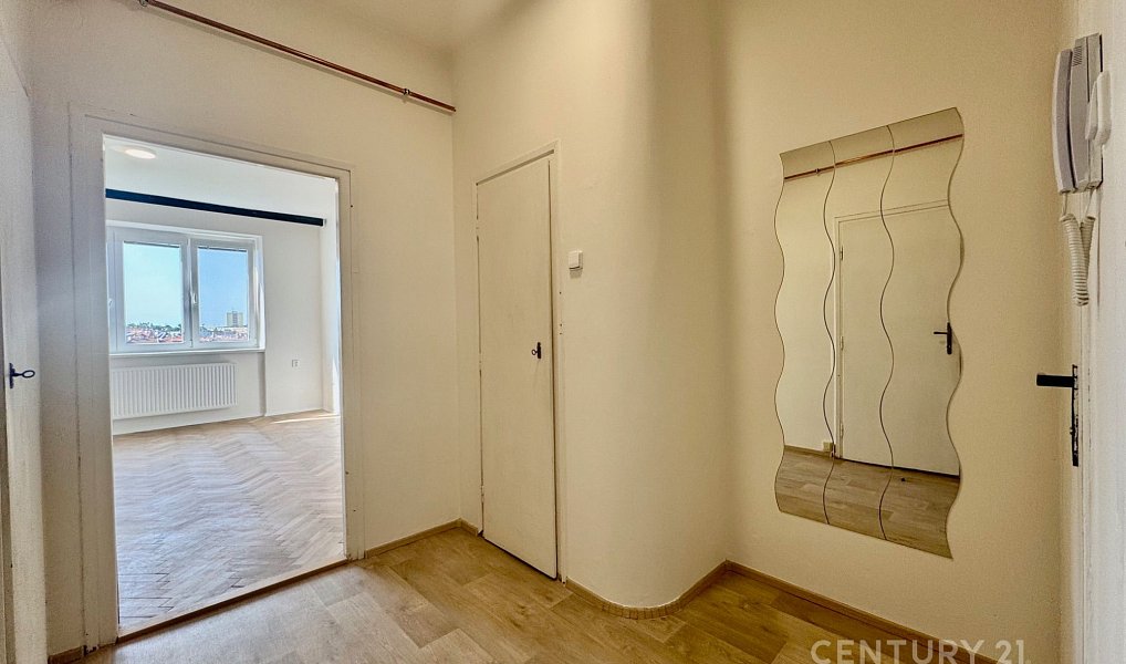 Pronájem bytu 1+1 40 m², Brno – náhled fotky 2