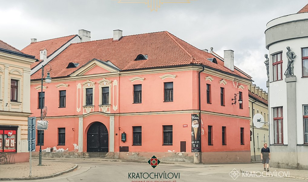 Prodej komerčního objektu (jiného typu) 1 629 m², Netolice – náhled fotky 2