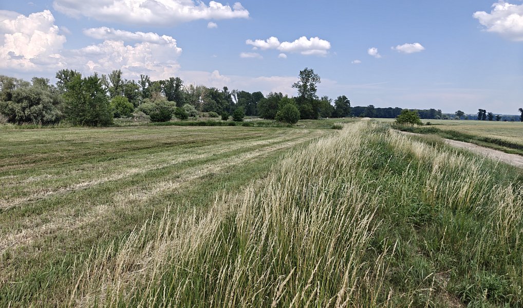 Prodej zahrady 800 m², Zálezlice – náhled fotky 4