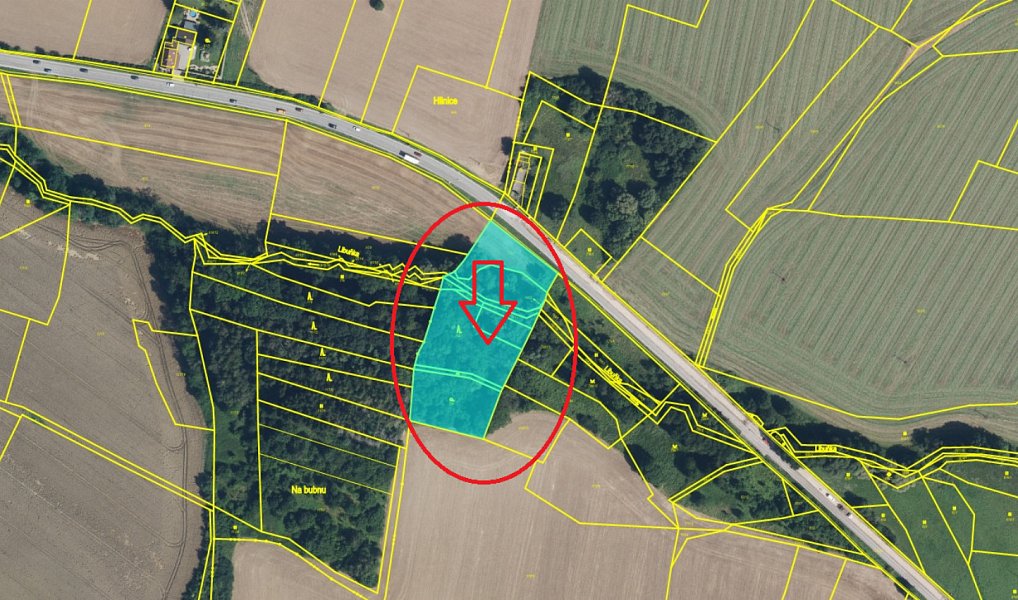 Prodej lesa 6 851 m², Dobříč – náhled fotky 16