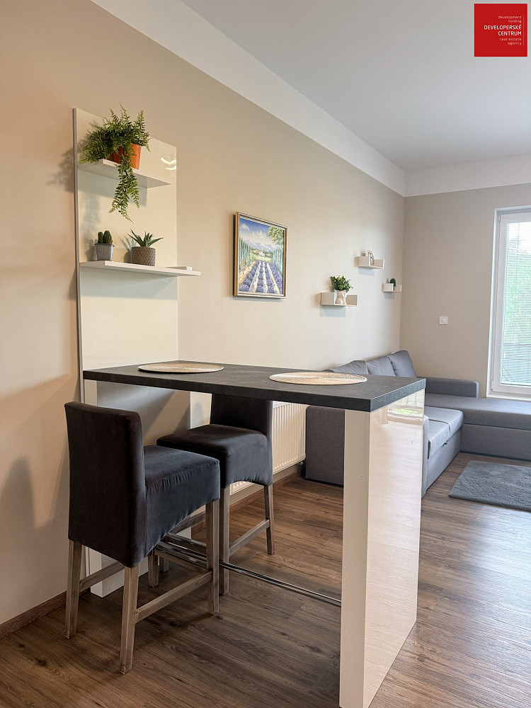 Pronájem bytu 2+kk 53 m² – fotografie 5