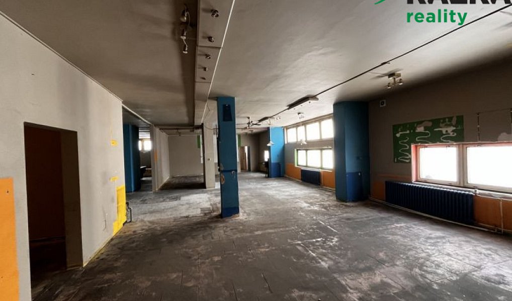 Pronájem komerčního objektu (jiného typu) 291 m², Tachov – náhled fotky 3