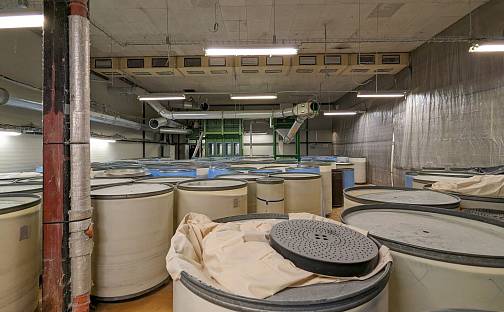 Pronájem skladovacích prostor 570 m², Plavy, okres Jablonec nad Nisou