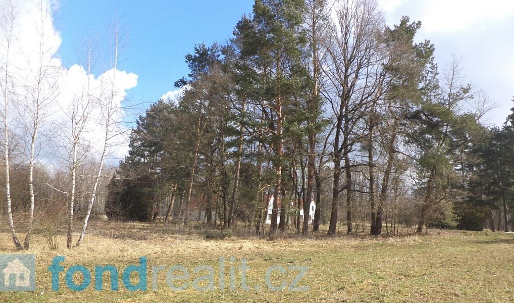 Prodej pozemku 2 131 m², Lužnice – náhled fotky 3