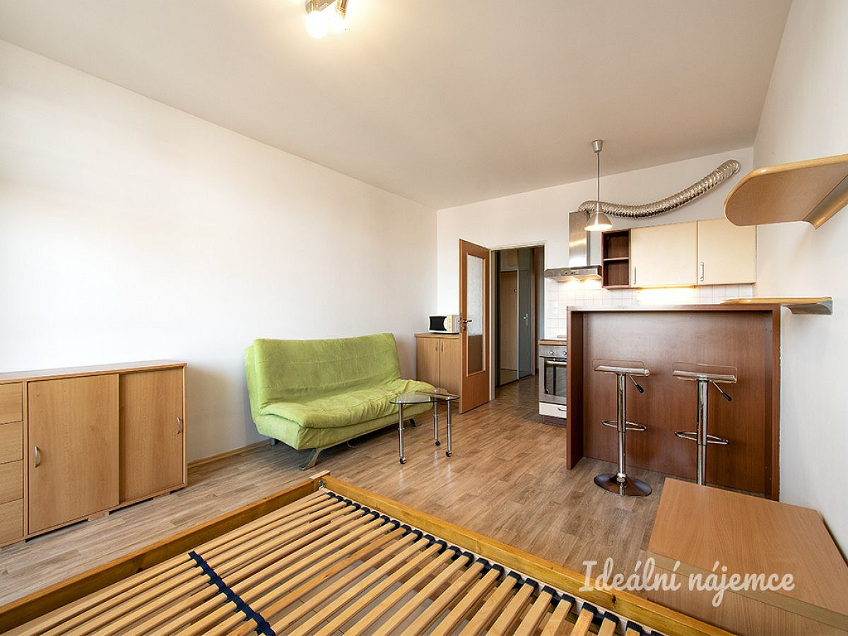 Pronájem bytu 1+kk 30 m² – pohled 3