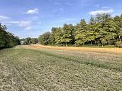 Prodej stavebnho pozemku 14370m2