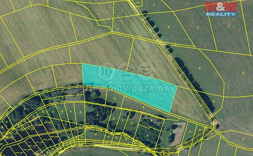 Prodej pole 9 639 m², Pustá Kamenice, okres Svitavy