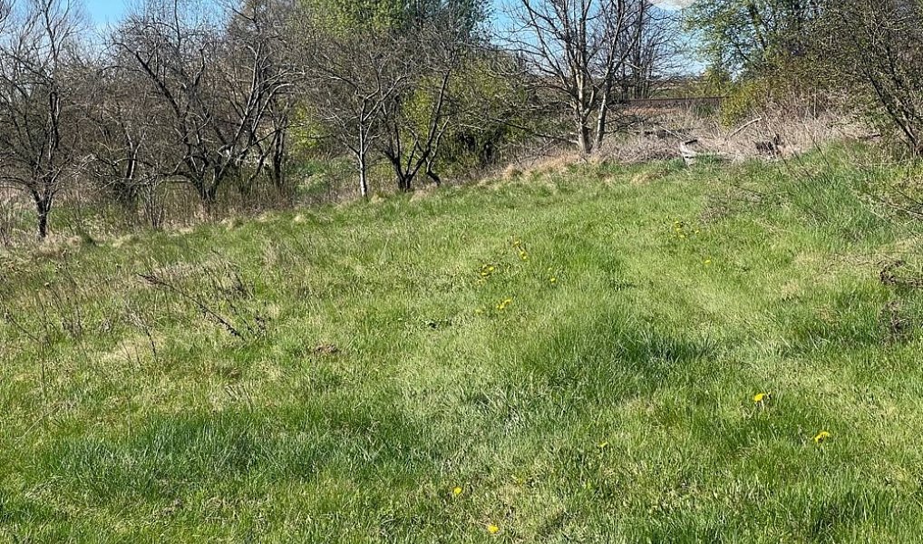 Prodej stavebního pozemku 3 780 m², Bruntál – náhled fotky 2